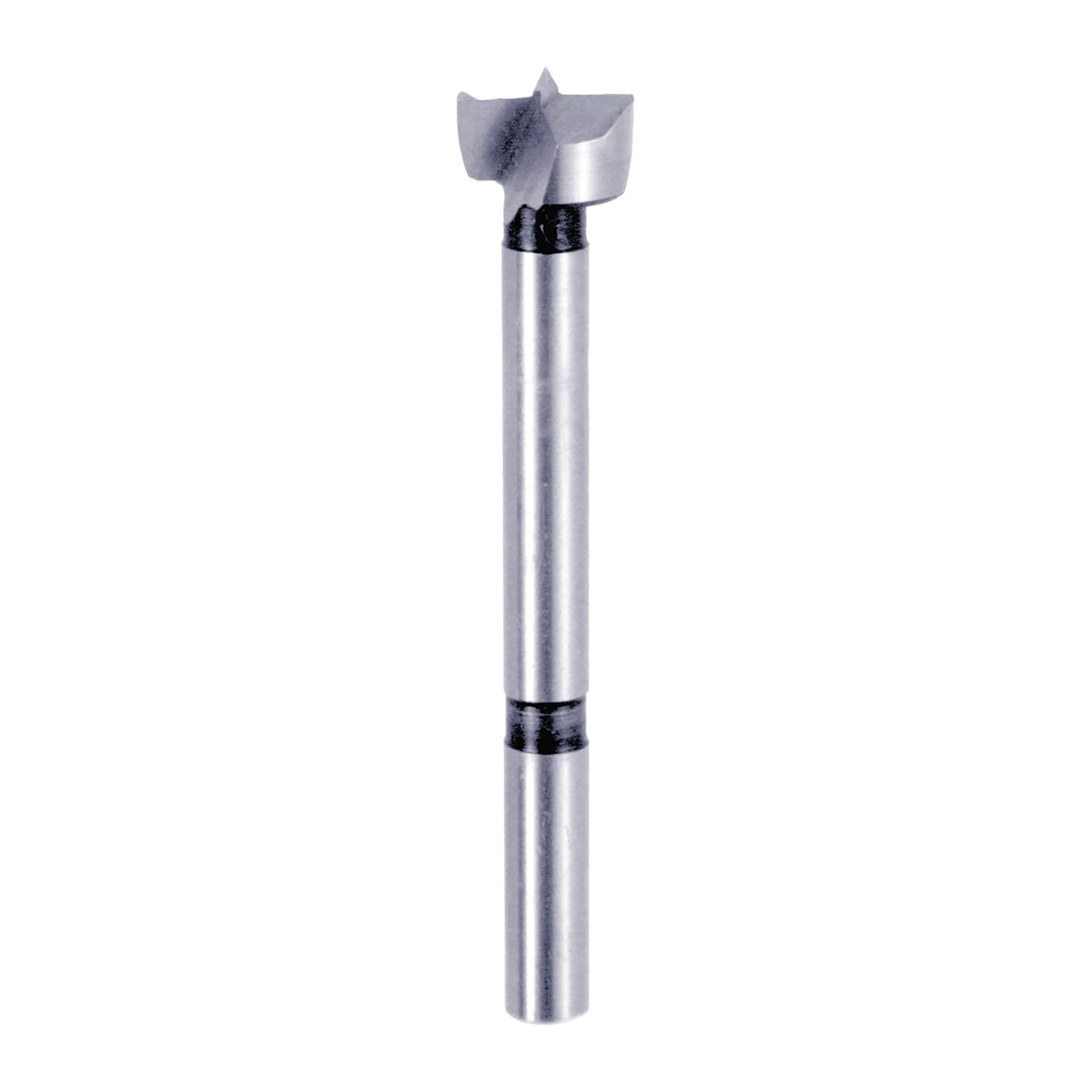 Silver cylindrical Forstner bit with dual-wing cutting head and black grip bands on shaft.