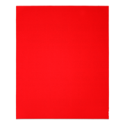 Diablo DCS911100S01B 9 in. x 11 in. 100-Grit (Medium) Sanding Sheet