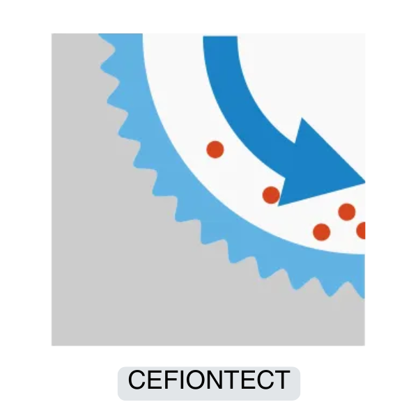 Toto Cefiontect Toto Cefiontect